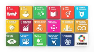 Sustainable Development Goals