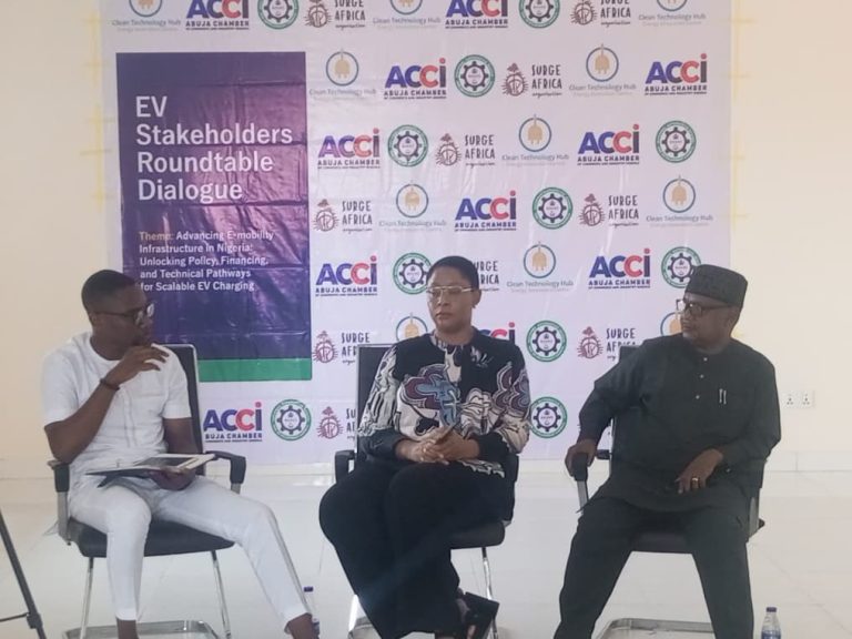 Nigeria Urged to Develop a Clear Roadmap for EV Charging Infrastructure