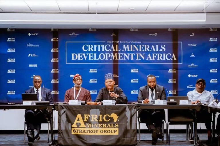 Tinubu Calls for African Alliance to Turn Mineral Wealth into Industrial Power